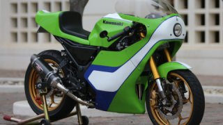 Kawasaki Ninja 300 - race bike replic
