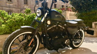 Harley-Davidson Sportster 883 - Blackie Lawless