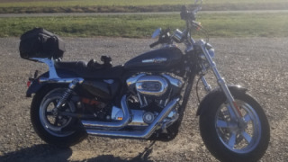 Harley-Davidson Sportster 1200 - Bry