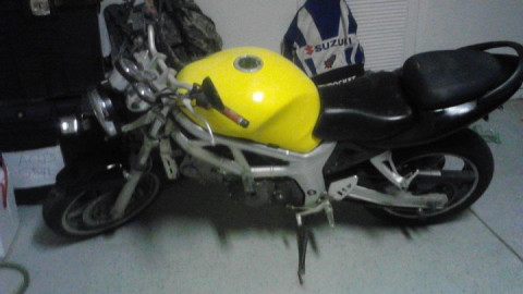 Suzuki SV 650 - Bumblebee owned by Alexis Connors