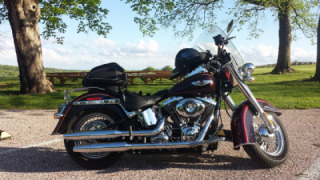 Harley-Davidson Softail Deluxe - Sassy Red