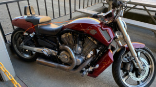 Harley-Davidson V-Rod Muscle - Roxanne