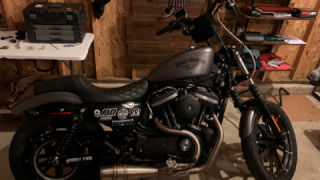 Harley-Davidson Sportster 883 - Hallie