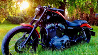Harley-Davidson Nightster - Lithia