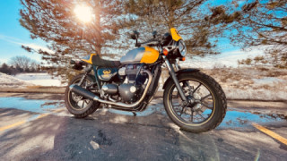 Triumph Street Cup - Wasp