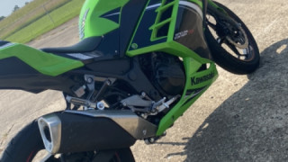 Kawasaki Ninja 300 - The Ninja Turtle