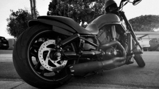 Harley-Davidson Night Rod - Blackie