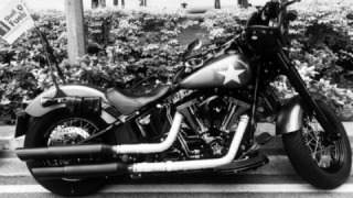 Harley-Davidson S