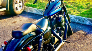 Harley-Davidson Sportster 1200 - Beastie