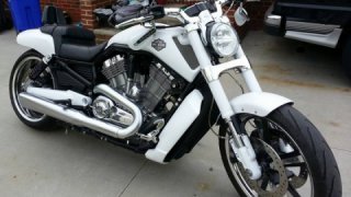 Harley-Davidson V-Rod Muscle - V ROD MUSCLE S1