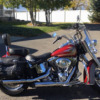 Harley-Davidson Softail Classic - Red Rose