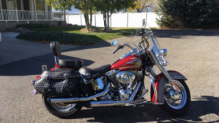 Harley-Davidson Softail Classic - Red Rose