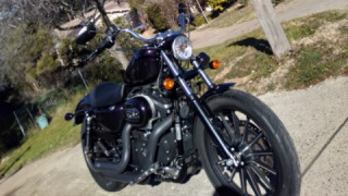 Harley-Davidson Sportster 883 - Corona