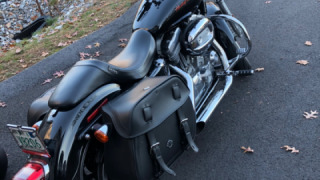 Harley-Davidson Sportster 883 - Pete