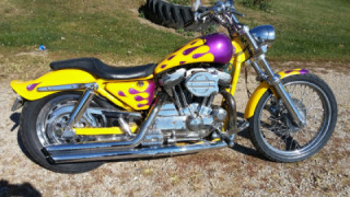 Harley-Davidson Sportster 883 - Purple Rain