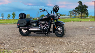 Harley-Davidson Softail Classic - Myleficent