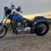 Harley-Davidson Softail Standard - Roxy