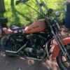 Harley-Davidson Sportster 1200 - Malaki