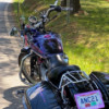 Harley-Davidson Sportster 883 - Pink Willie G