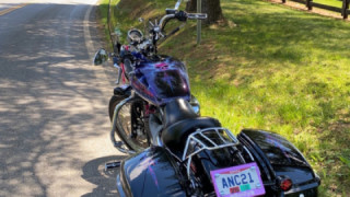 Harley-Davidson Sportster 883 - Pink Willie G