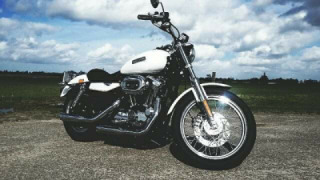 Harley-Davidson Sportster 1200 - Crazy Sharon