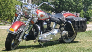 Harley-Davidson Softail Classic - Reggie