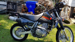 Suzuki DR 650