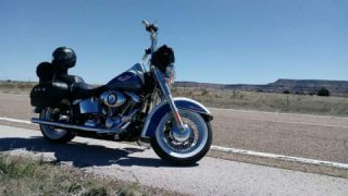 Harley-Davidson Softail Custom - Deluxe