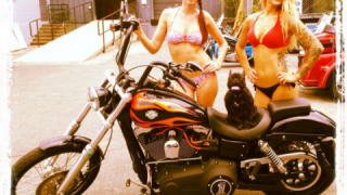 Harley-Davidson Wide Glide - Lilly Ann