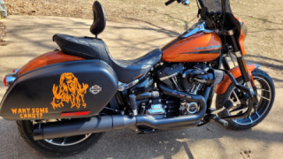 Harley-Davidson Sport Glide - candy