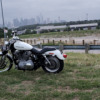 Harley-Davidson Sportster 883 - WhiteIndian