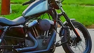 Harley-Davidson Sportster 1200 - Flo