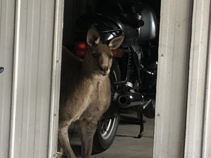 Some folk use a spreadsheet, some use a book, and some use the shed door for safety reasons.