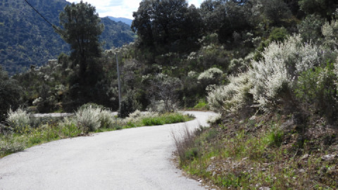 From Macedo de Cavaleiros till Pópulo