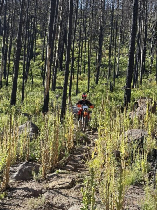 Мoto trail over the weekend