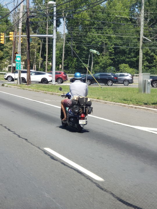 Looks like he’s headed to the blue oyster for some lunch?
