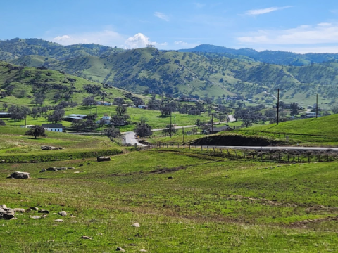 Just back from a quick run to Death Valley