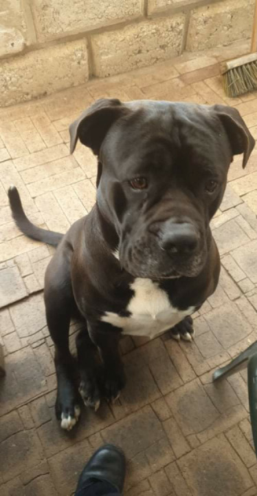 Long Weekend to Albany