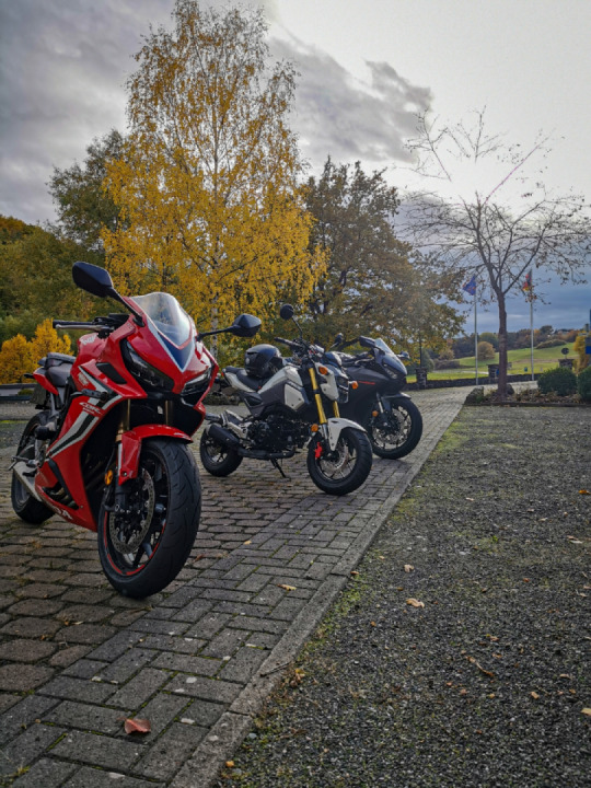 Bald geht es wieder los ???