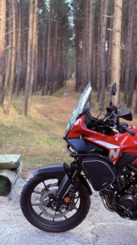 Lovely 190 km run today at 6 degrees 🍂🍁