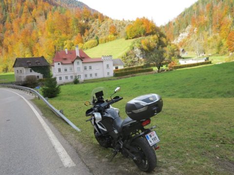 Very nice Autumn round!