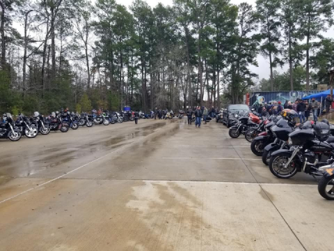 Just the joy of a morning ride!