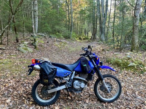 Colorful Connecticut Cruise