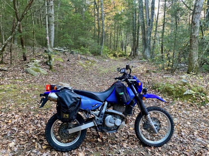 Colorful Connecticut Cruise