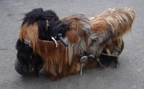 Follow me for more tips on how to keep your bike warm in winter.