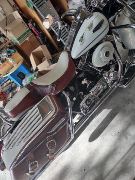 Just got my seat and saddle bags back