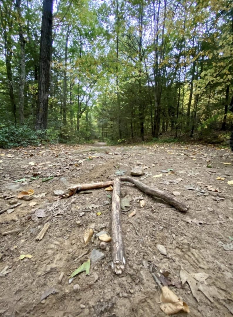 Nipmonkey rides again