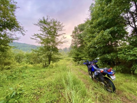 Making tracks, by the tracks