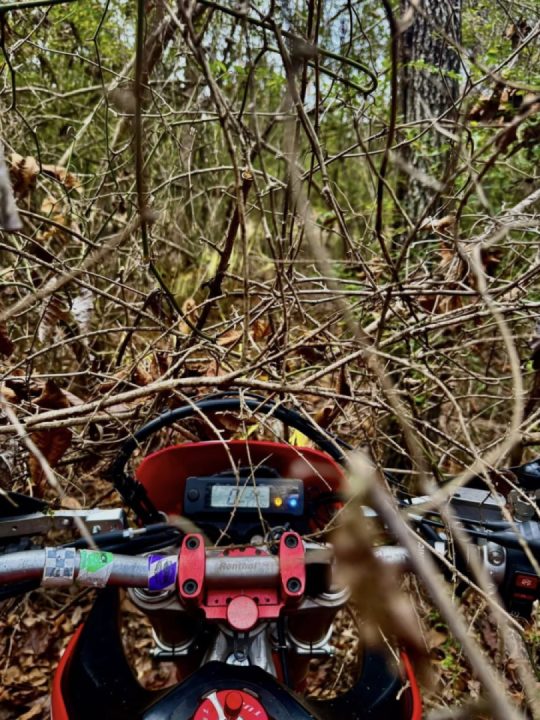 Bushwhacking in the hunt