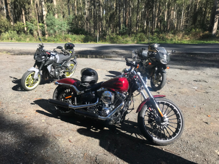 Vic high country